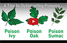 Image of a youtube video about outsmarting poison ivy.