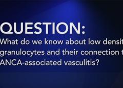 Question: What do we know about low-density granulocytes and their connection to ANCA-associated vasculitis?