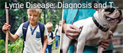 Lyme Disease diagnosis - A boy and a dog